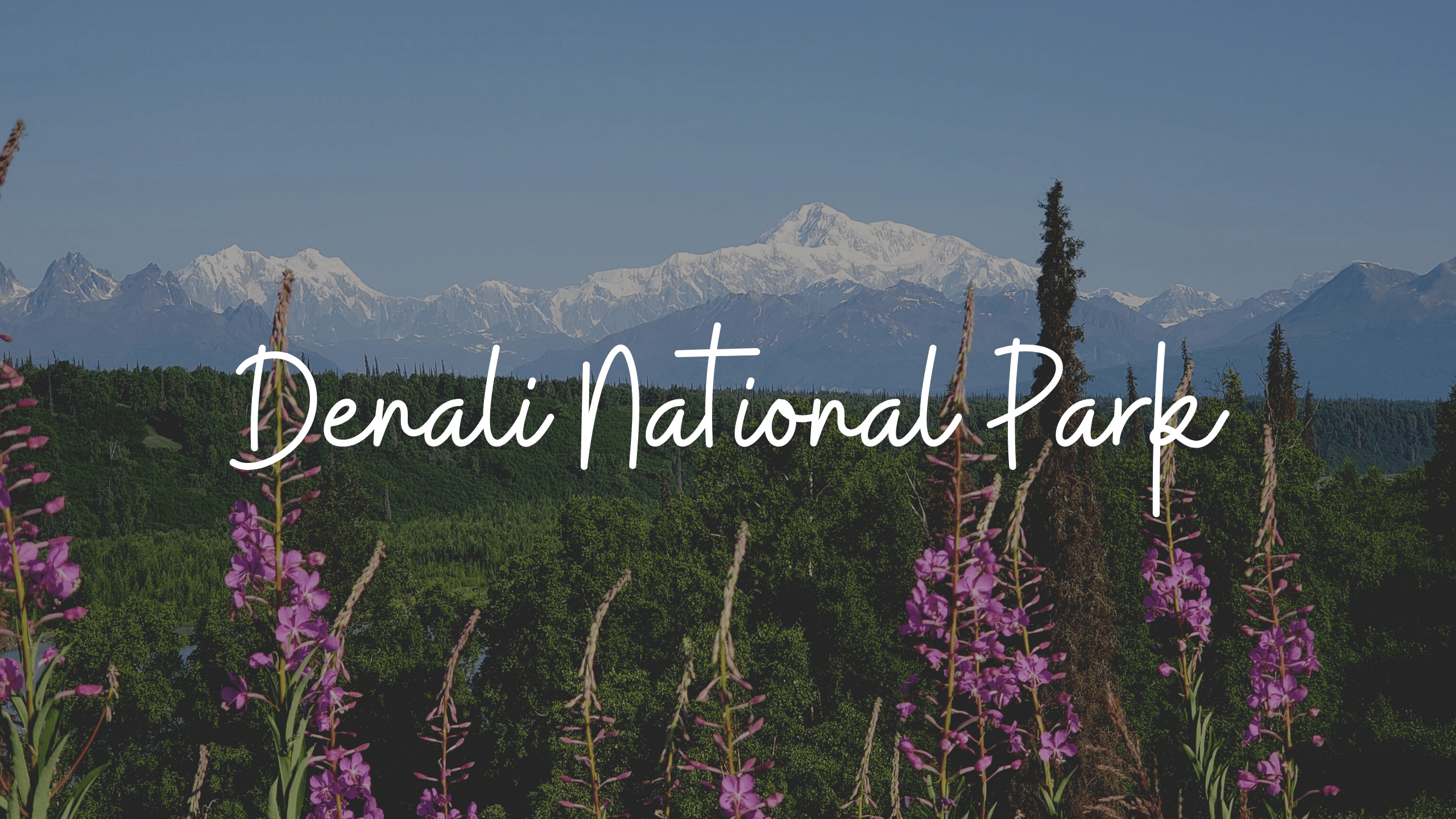 Denali National Park